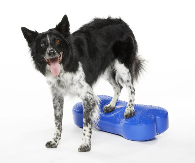 Fitpaws K9FITbone для собак — изображение 2