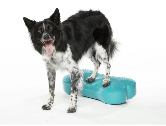 Fitpaws K9FITbone для собак — изображение 3