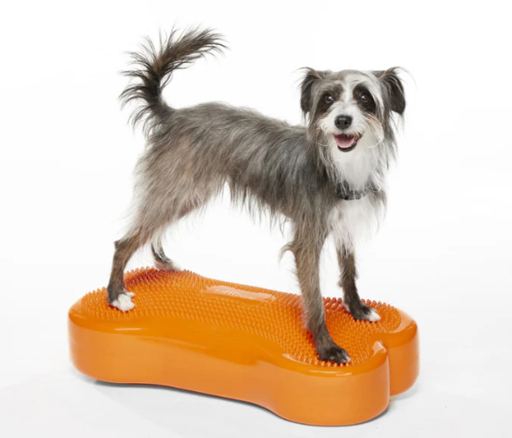 Fitpaws K9FITbone для собак — изображение 4