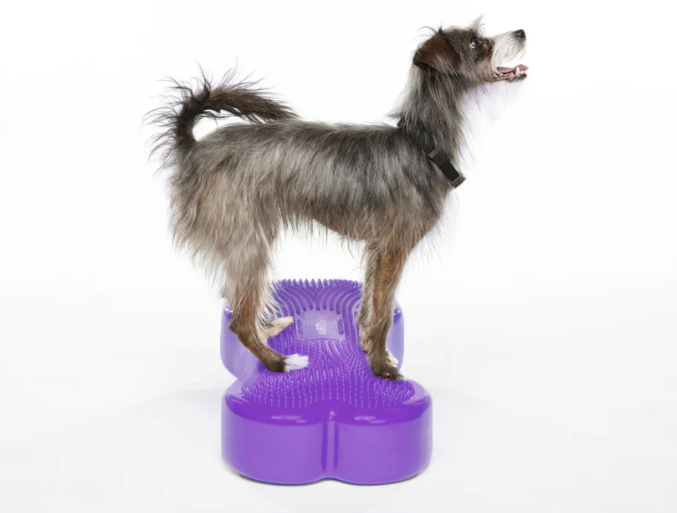 Fitpaws K9FITbone для собак — изображение 5