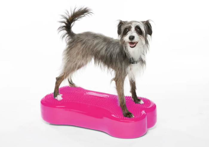 Fitpaws K9FITbone для собак — изображение 6