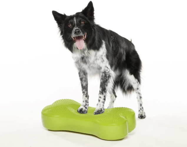 Fitpaws K9FITbone для собак — изображение 7