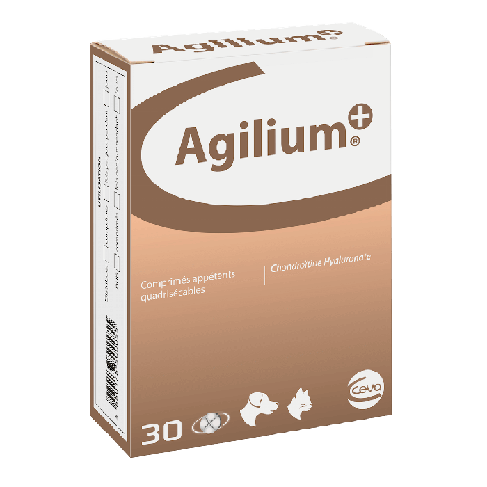 Ловкость 60 кпп