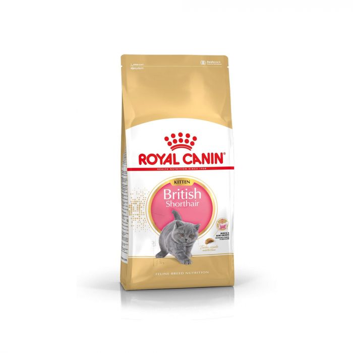 Royal Canin Британская Короткошерстная Kitten 2 кг