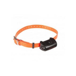 Воротник только Canicola 5 с планкой оранжевый