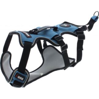 I-DOG Нагрудник Canicross Синий/Серый M