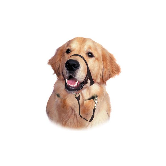 Недоуздок от тренировки Hala Красный T. 2