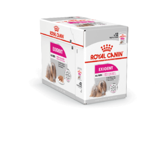 Royal Canin Canine Care Nutrition Exigent 12 x 85 g