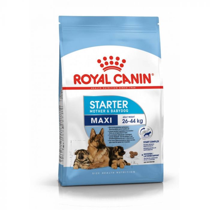 Royal Canin Maxi Starter Mother and Babydog 4 кг