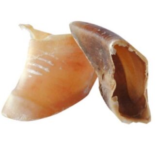 Копыто теленка бубимекс x100