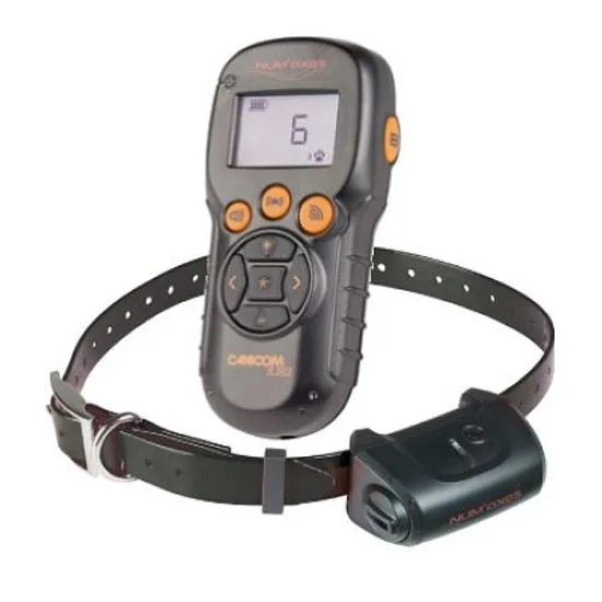 Каником 5.202