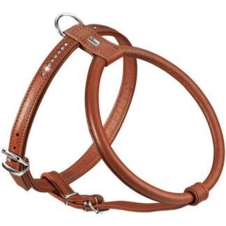 Hunter Harness Modern Art R&S Petit Luxus Cognac XS
