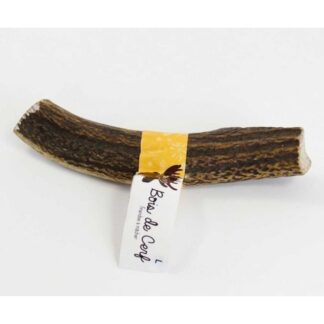 Слово о трюфелях Рога L