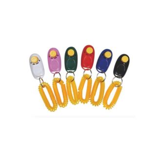 Обучение кликерам