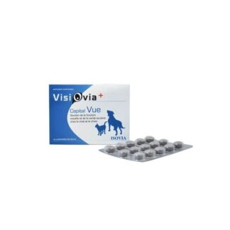 Визиовия + 30 копий в секунду