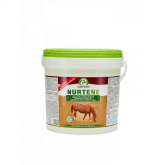 Нуртен 6 кг