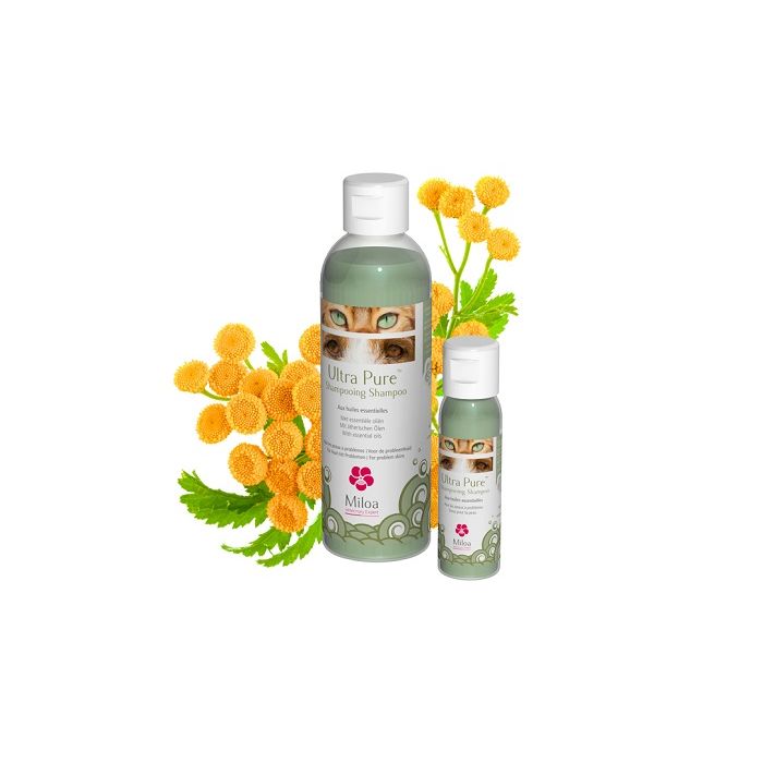 Шампунь Miloa Ultra Pure 200мл