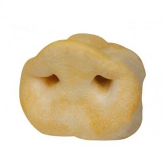 Глория Свиная Морда 9см