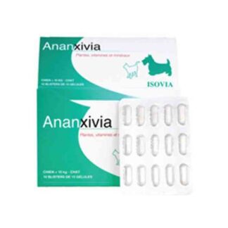 Ananxivia маленькая собака и кошка 30 лари