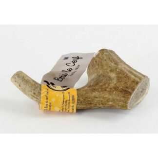 Слово о трюфелях Рога М