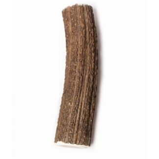 Очевидные цельные рога оленя XL