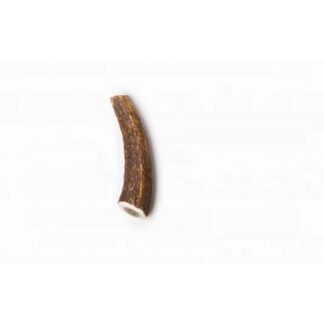 Очевидные рога оленя, цельные, XS