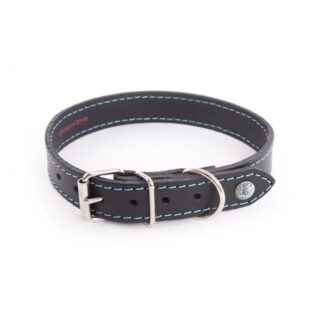 Кожаный ошейник Martin Sellier Flash Turquoise T47