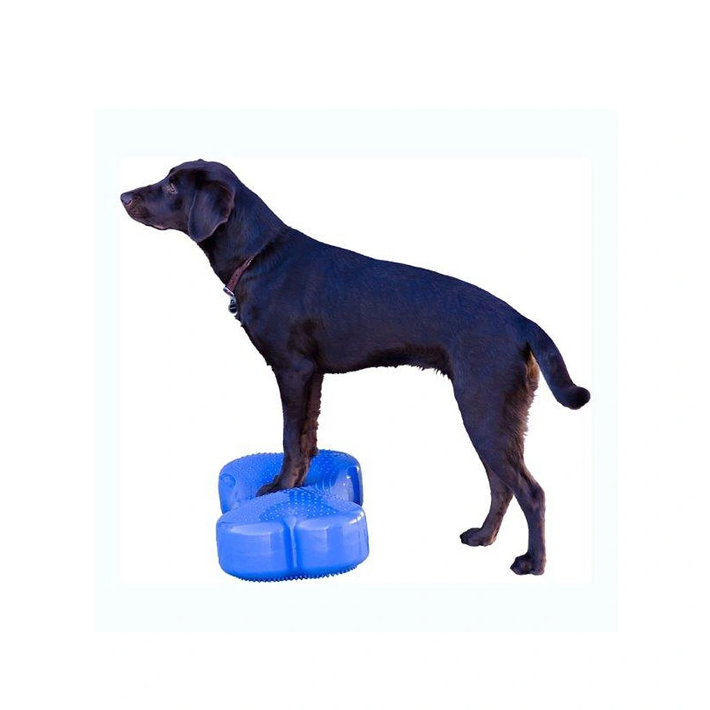 Платформа для собак Bone FitpawsFitbone Balance Pad Kissen 58x29x10cm — изображение 5
