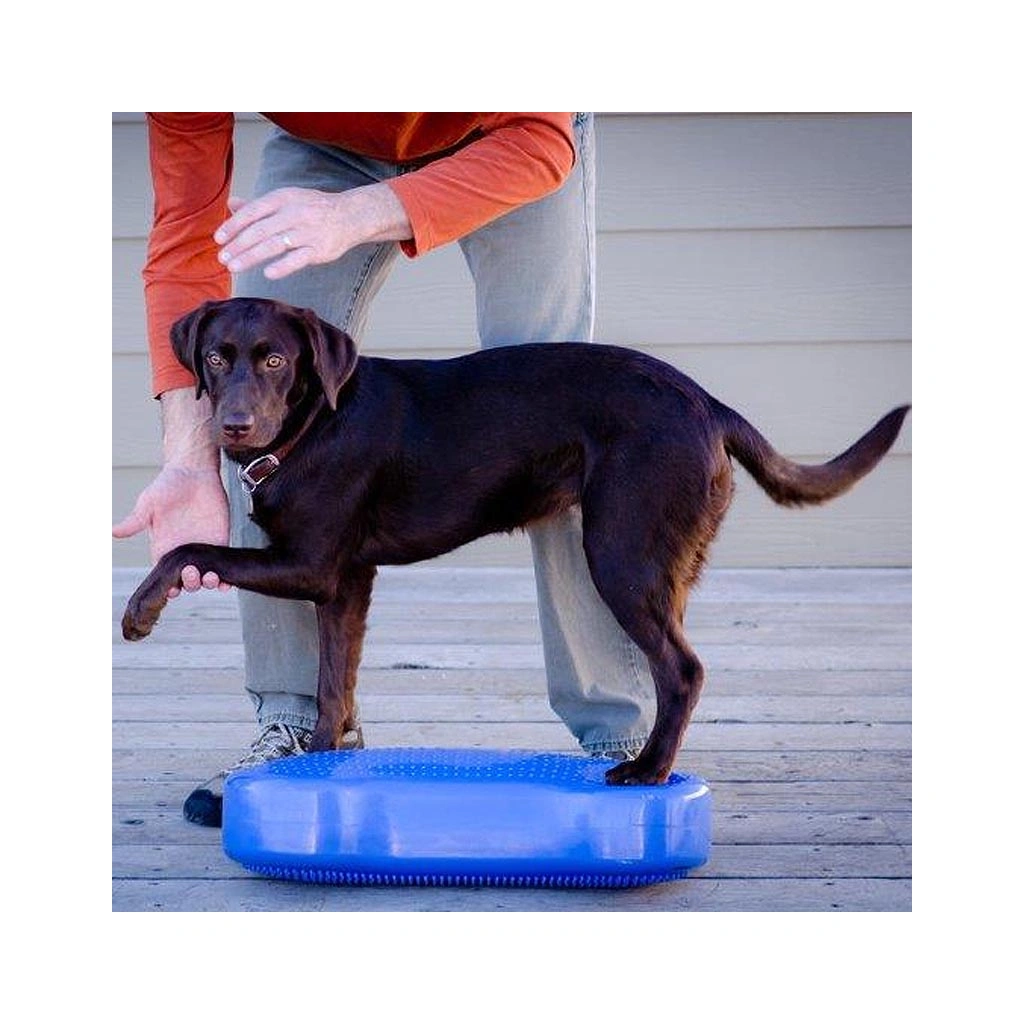 Платформа для собак Bone FitpawsFitbone Balance Pad Kissen 58x29x10cm — изображение 6