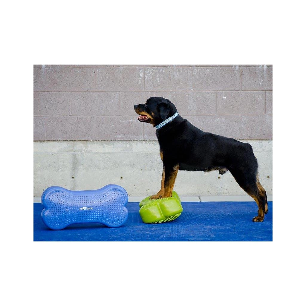 Платформа для собак Bone FitpawsFitbone Balance Pad Kissen 58x29x10cm — изображение 8
