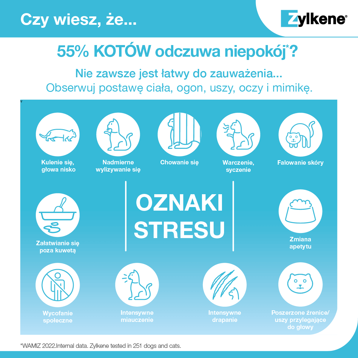 Зилкен 75мг 100 капсул — изображение 6