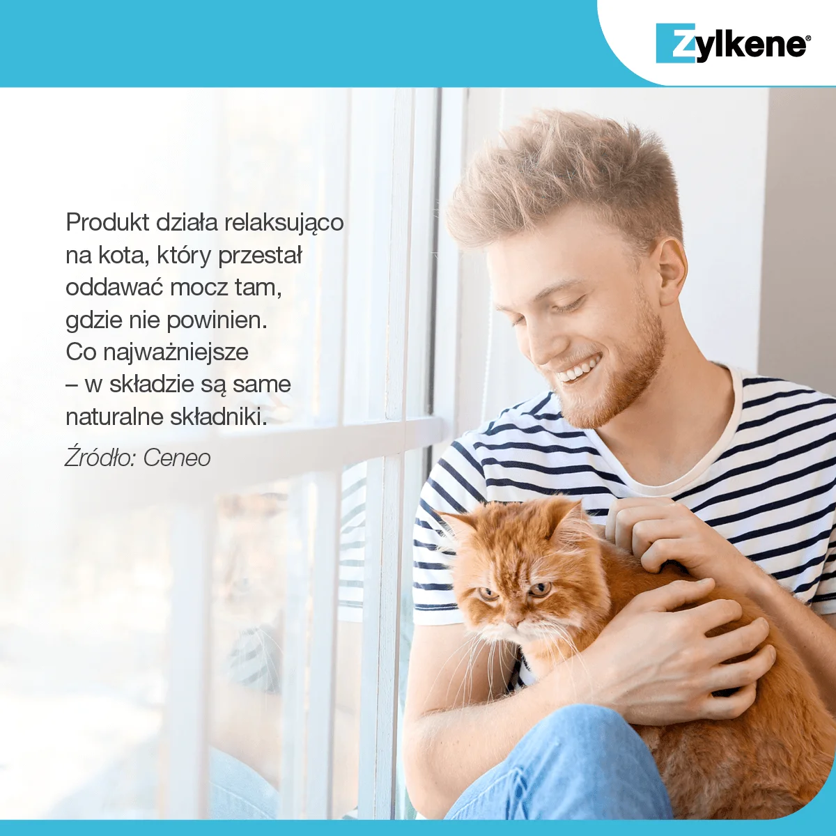 Зилкен 75мг 100 капсул — изображение 9