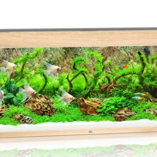 Rio 240 LED light wood