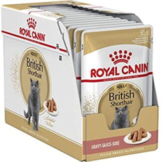 Royal Canin FBN British Shorthair Wet 85g x 12 tk