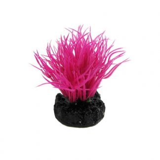 Plastist taim Q-117N 4" 10cm