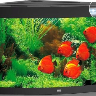 Trigon 350 LED black