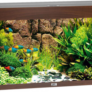 Rio 240 LED dark wood