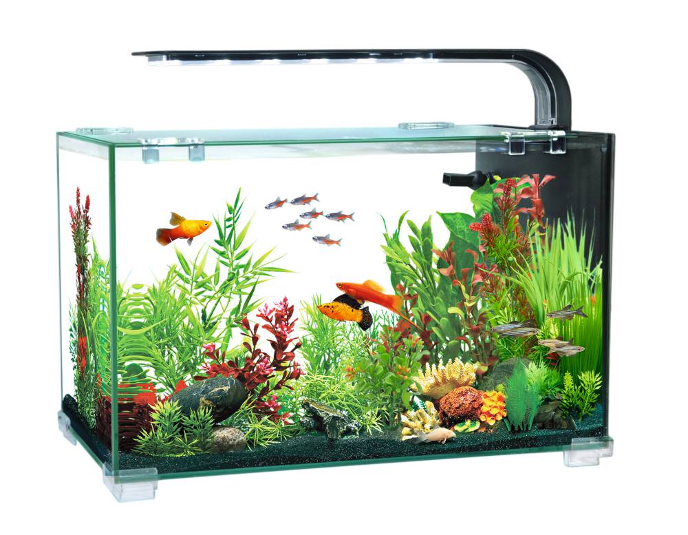 Aquarium AQUACLEAR DESKTOP TANK AC16 13L 356x206x234mm