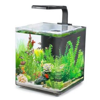 Aquarium AQUACLEAR DESKTOP TANK AC10  9.4L 243x203x233mm