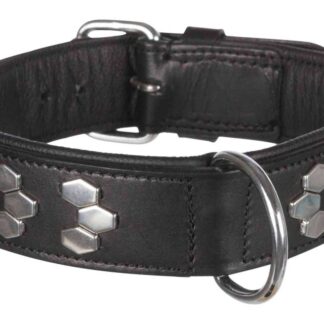 Active collar with studs, leather, L: 48–55 cm/40 mm, black