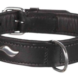 Active collar with studs, leather, M–L: 42–48 cm/25 mm, black