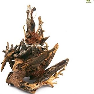 Akvaariumi Triivpuu Octopus, S 15-18x20-22cm.