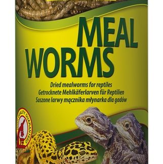 Tropical reptiilide täiendsööt Meal Worms 250 ml