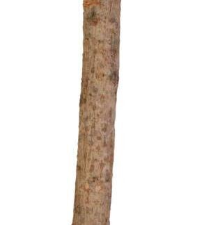 Perch, Y-shape, screw fixing, bark wood, 35 cm/ø 18 mm