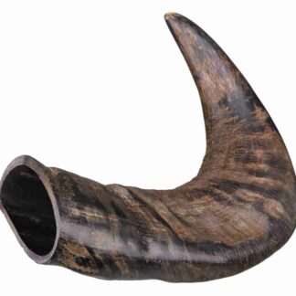 Natural buffalo chewing horn, medium
