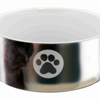 Bowl, paw, ceramic, 0.3 l/ø 12 cm, silver/white