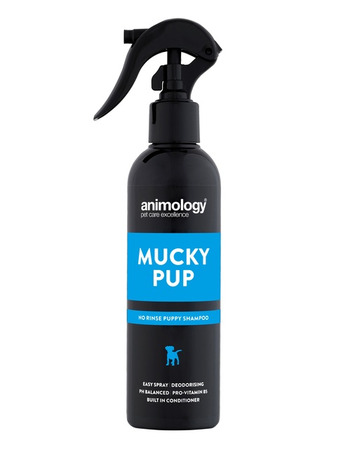 Animology Mucky Pup kuivšampoon kutsikatele, 250 ml