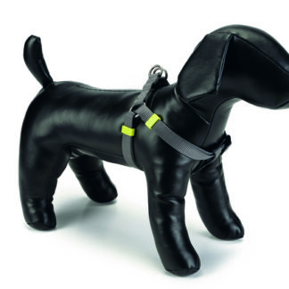 Beeztees koerte seljakinnitusega traksid 46, tumehall