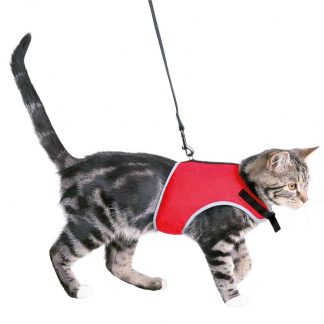 Soft harness cat, with leash, 24–42 cm, 1.20 m