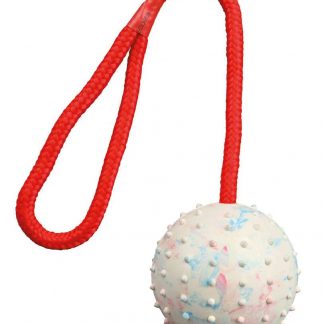 Ball on a rope, natural rubber, ø 7/30 cm